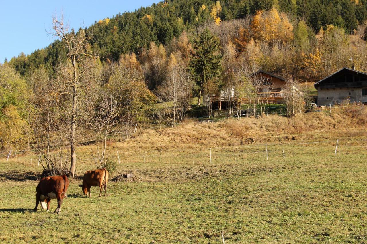 Le Des Eulets Bourg-Saint-Maurice